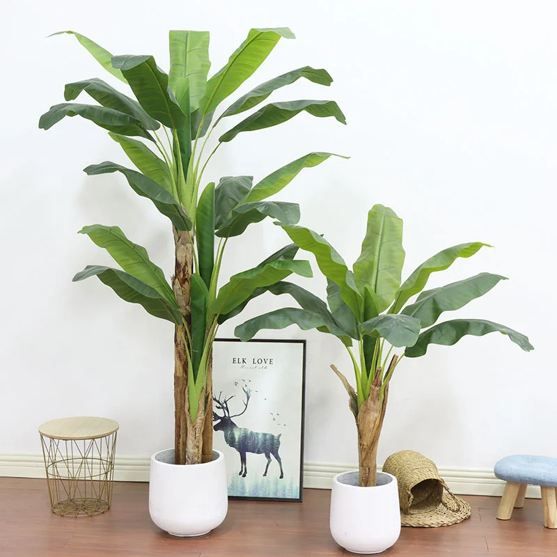 180cm/210cm Large Banana Tree  - огляд і ціна Bonsai Garden Restaurant