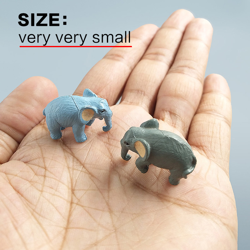 10Pcs Small Elephant Bonsai Fi - огляд і ціна Bonsai Garden Japan