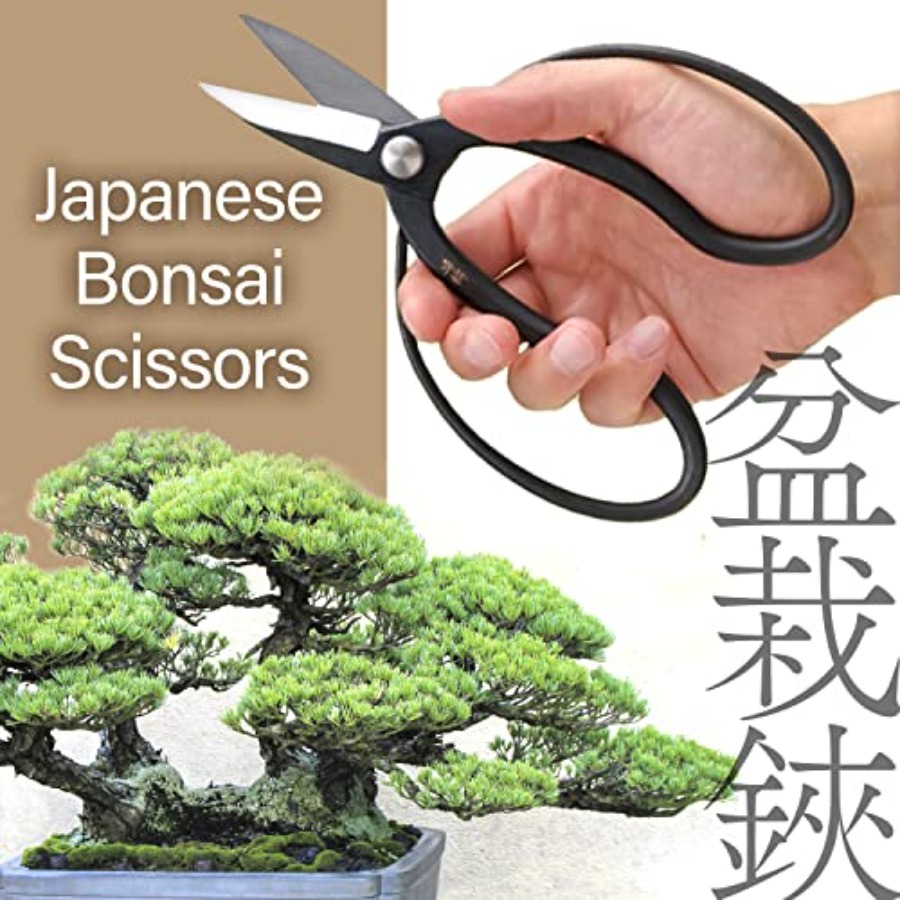 Japanese Suiryu Bonsai Scissor - огляд і ціна Bonsai Garden Japan